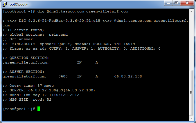 DNS records using DIG