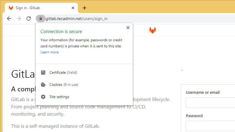 Secure Gitlab with Let's Encrypt SSL