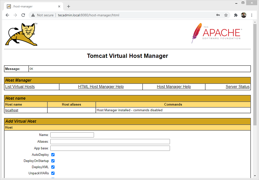 Tomcat 10 Host Manager Page