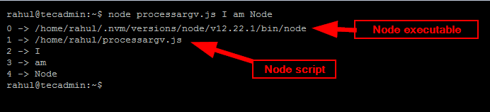 Reading Node.js Command Arguments with Process.argv