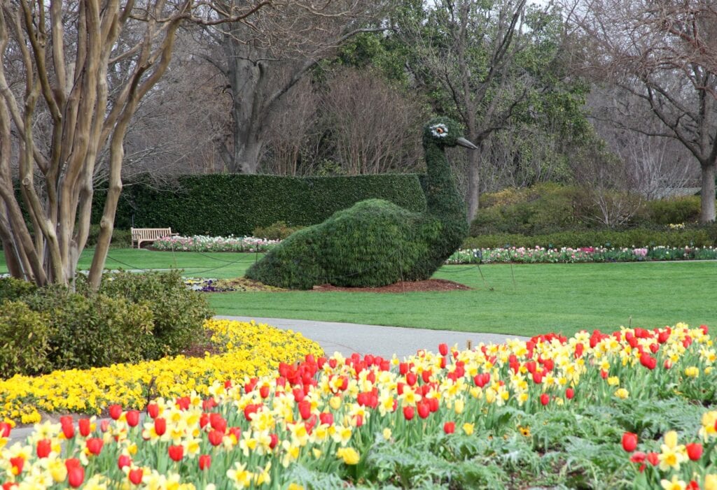 Friends of the Arboretum Honored During Dallas Blooms