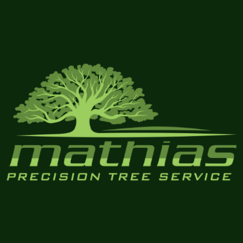 Mathias Precision Tree Service Removes At-Risk Trees in St Louis, MO