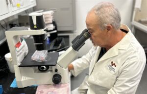 Potential Breakthrough in Leukemia and Lymphoma Treatment Unveiled by UTEP Researchers